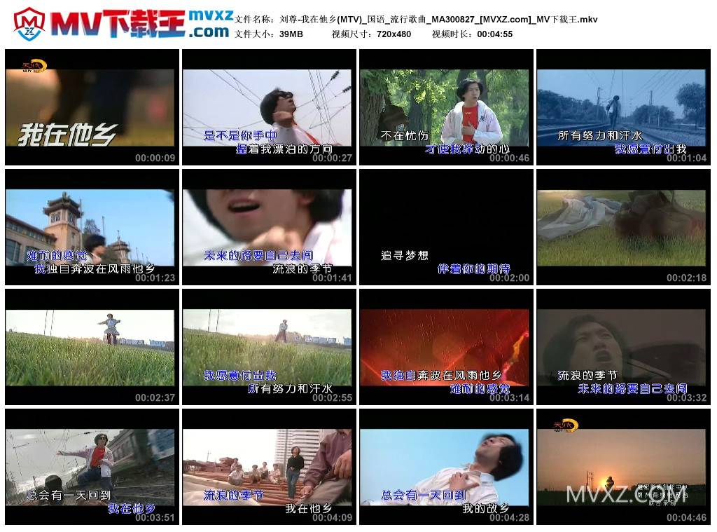 刘尊-我在他乡(MTV)_国语_流行歌曲_MA300827